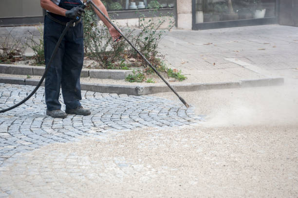 Best Driveway Pressure Washing  in Wheeling, WV